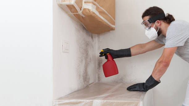 Professional Attic Mold Removal technician working in Garrett, TX