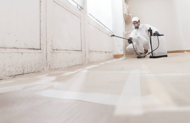 24/7 Emergency Attic Mold Removal experts in Garrett, TX