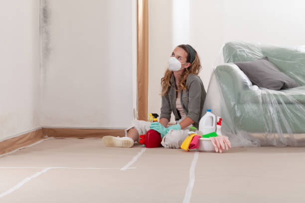 Trusted Attic Mold Removal service in Garrett, TX - Cheap Mold Removal